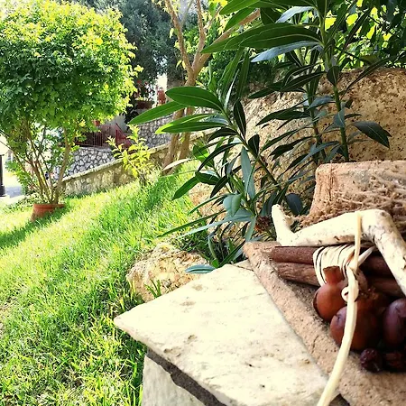 Nikoleta *